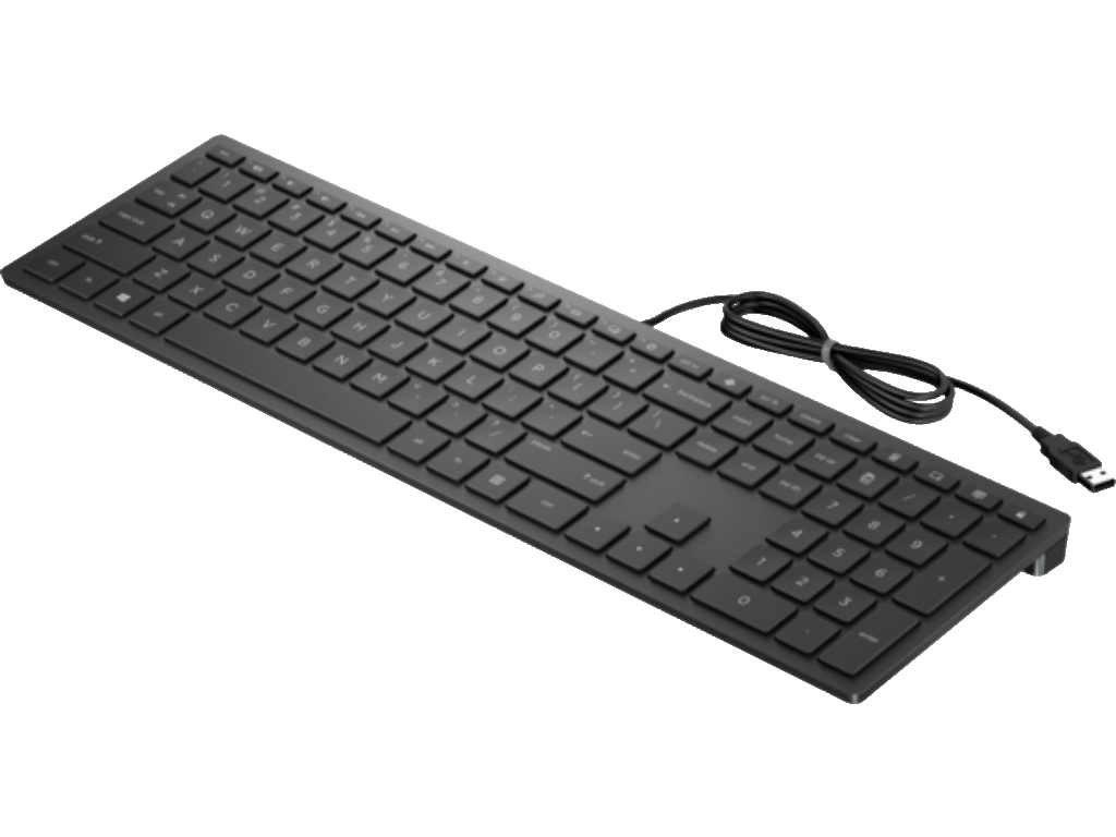 HP PSG Tastatura HP Pavilion 300/žicna/4CE96AA/SRB/crna