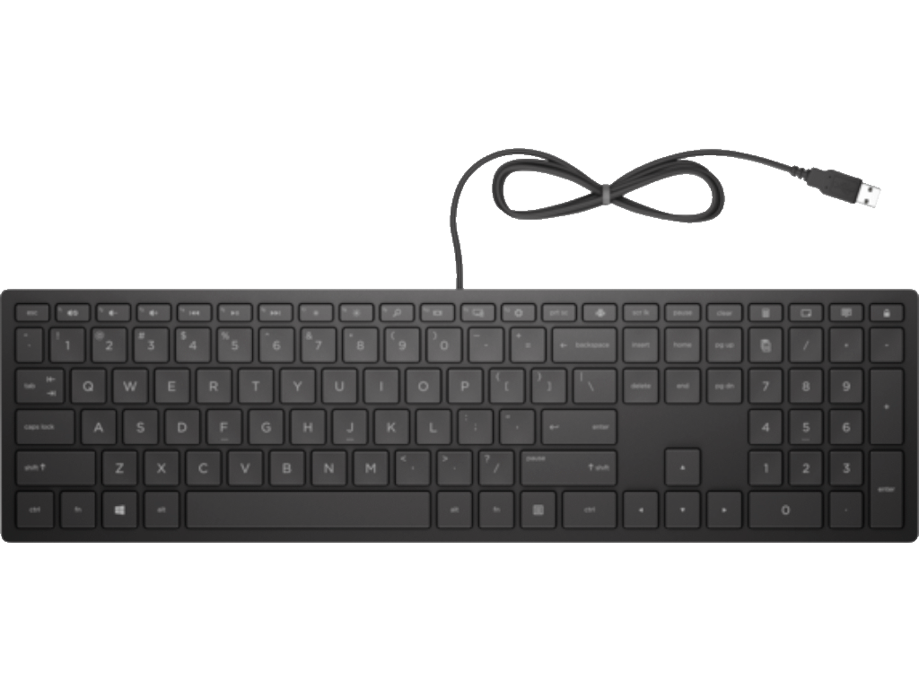 HP PSG Tastatura HP Pavilion 300/žicna/4CE96AA/SRB/crna