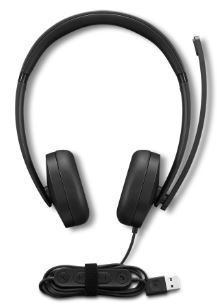 Lenovo NOT DOD LN SLUŠALICE žičane/Stereo/USB, 4XD1P83425