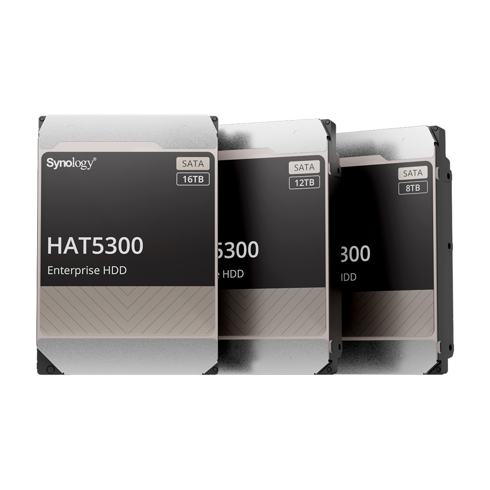 Synology Incorporated SYNOLOGY HAT5300-12TB