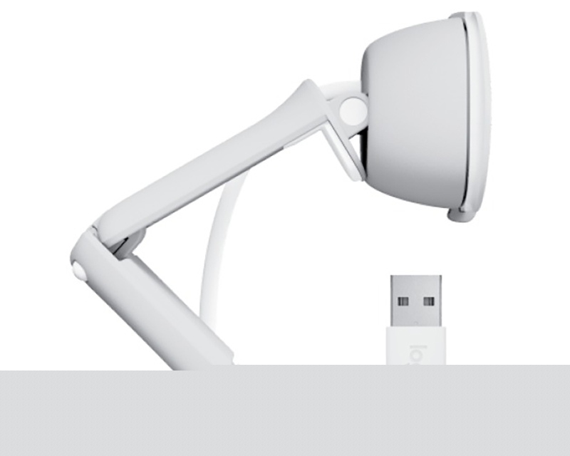 LOGITECH Brio 100 Full HD USB Webcam roza